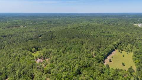 6722 N Highway 85, Laurel Hill FL - photo 20 of 31