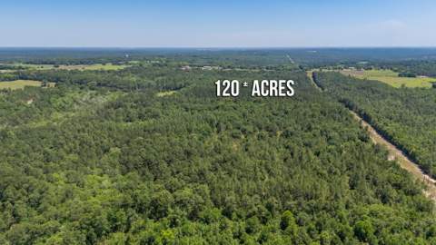 6722 N Highway 85, Laurel Hill FL - photo 24 of 31