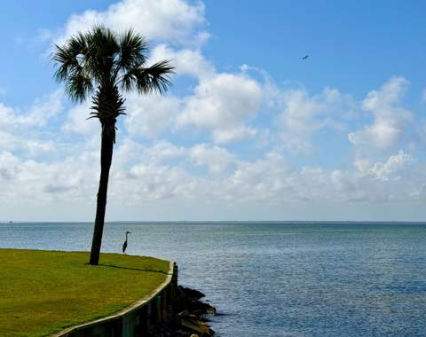 285 W Sandestin Boulevard, Miramar Beach FL - photo 9 of 46