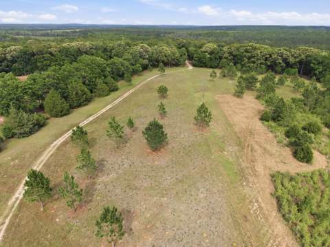 261 Wilkerson Road, DeFuniak Springs FL - photo 18 of 78