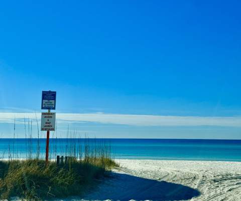228 Walton Magnolia Lane #Unit 9, Inlet Beach FL - photo 24 of 24