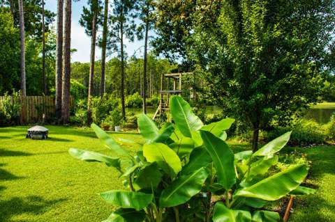 405 Loblolly Bay Drive, Santa Rosa Beach FL - photo 16 of 28
