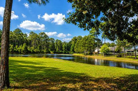 405 Loblolly Bay Drive, Santa Rosa Beach FL - photo 18 of 28