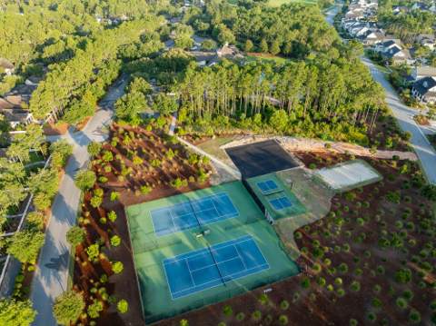 96 Pollard Cove West #Lot 32, Watersound FL - photo 7 of 15