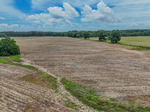 8116 Highway 393 Highway, Laurel Hill FL - photo 17 of 63