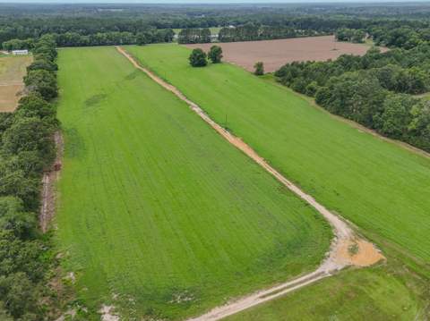 8116 Highway 393 Highway, Laurel Hill FL - photo 11 of 63