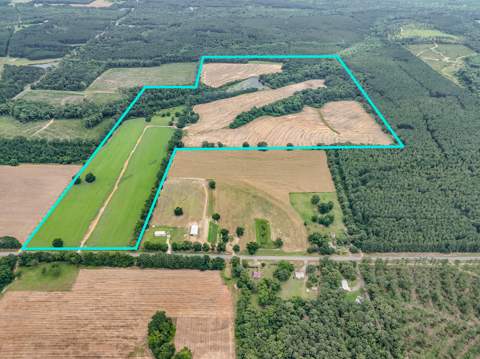 8116 Highway 393 Highway, Laurel Hill FL - photo 8 of 63