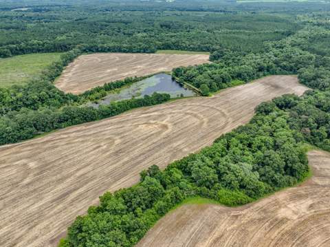8116 Highway 393 Highway, Laurel Hill FL - photo 7 of 63