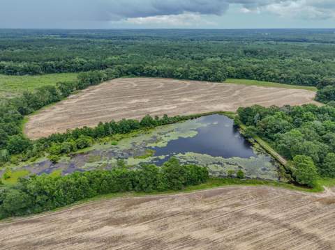 8116 Highway 393 Highway, Laurel Hill FL - photo 6 of 63