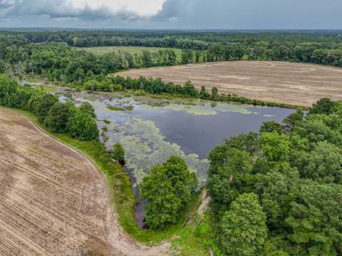 8116 Highway 393 Highway, Laurel Hill FL - photo 6 of 63
