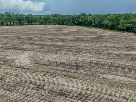 8116 Highway 393 Highway, Laurel Hill FL - photo 18 of 63