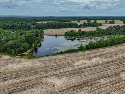 8116 Highway 393 Highway, Laurel Hill FL - photo 9 of 63