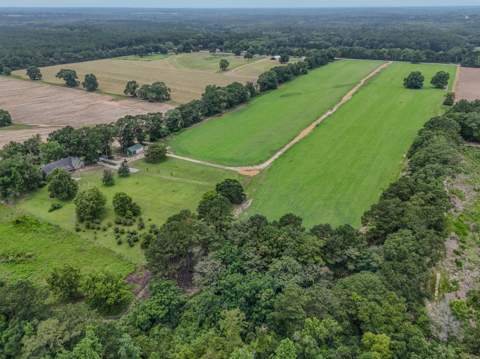 8116 Highway 393 Highway, Laurel Hill FL - photo 14 of 63