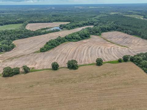8116 Highway 393 Highway, Laurel Hill FL - photo 20 of 63