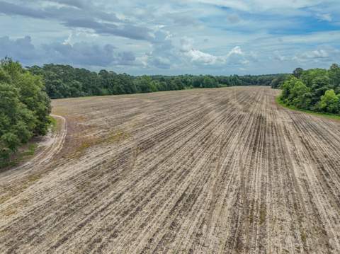 8116 Highway 393 Highway, Laurel Hill FL - photo 21 of 63
