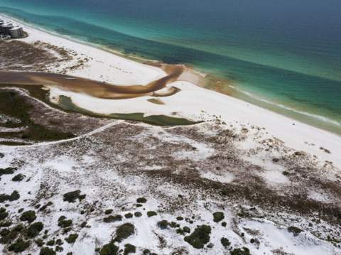 15 W Lupin Beach Drive, Inlet Beach FL - photo 15 of 26