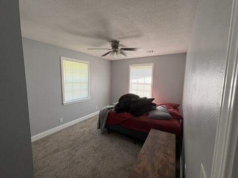1540 Texas Parkway, Crestview FL - photo 20 of 21