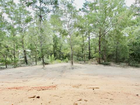 376 W Michaelangelo Road, DeFuniak Springs FL - photo 11 of 28