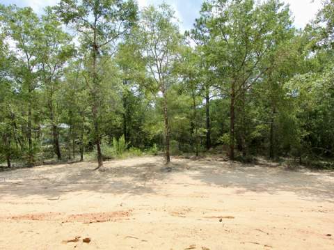 376 W Michaelangelo Road, DeFuniak Springs FL - photo 12 of 28