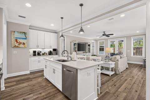 169 Windrow Way, Inlet Beach FL - photo 12 of 72