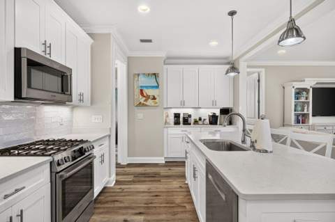 169 Windrow Way, Inlet Beach FL - photo 13 of 72