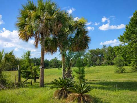 183 Deer Trail, DeFuniak Springs FL - photo 7 of 10