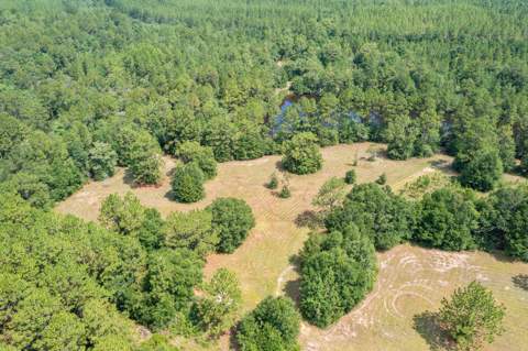 6178 Barnes Road, Crestview FL - photo 12 of 54