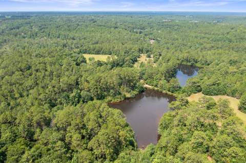 6178 Barnes Road, Crestview FL - photo 17 of 54