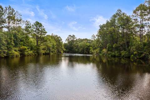 6178 Barnes Road, Crestview FL - photo 8 of 54