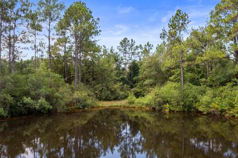 6178 Barnes Road, Crestview FL - photo 9 of 54