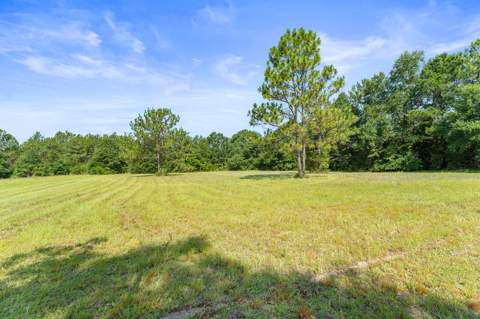 6178 Barnes Road, Crestview FL - photo 18 of 54