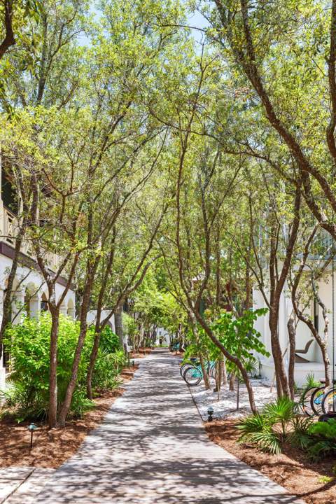 77 Wiggle Lane, Inlet Beach FL - photo 7 of 56