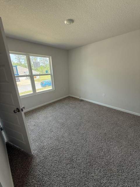 6412 Arcadia Bluffs Avenue, Laurel Hill FL - photo 20 of 30