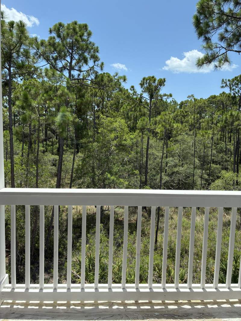 4 bedroom Detached Single Family at 235 Ashwood Drive, Parkside, Santa Rosa Beach — photo 3