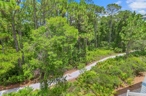 228 Beach Bike Way, Inlet Beach FL - photo 18 of 50