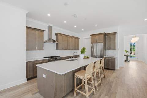 42 E Seabrook Way #Lot 34, Watersound FL - photo 18 of 45