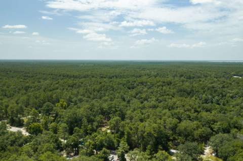 41 Frog Hill Road, Freeport FL - photo 17 of 33