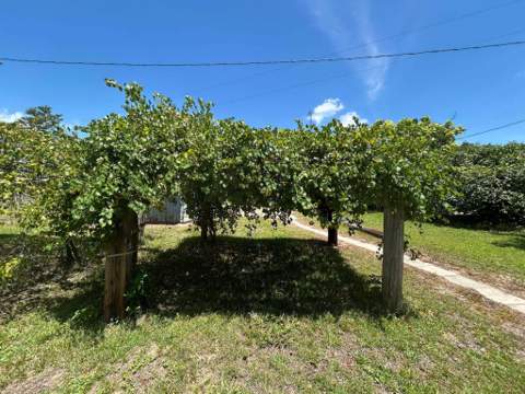 245 S Tram Road, Ponce De Leon FL - photo 6 of 49