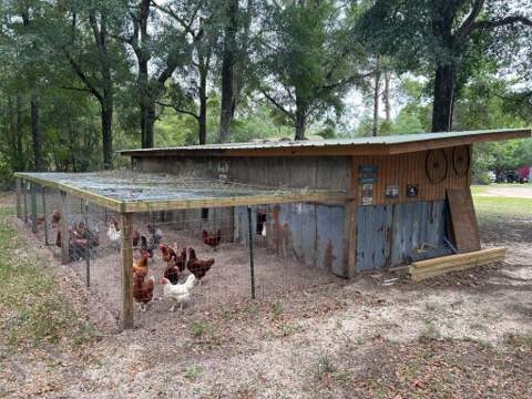 245 S Tram Road, Ponce De Leon FL - photo 10 of 49