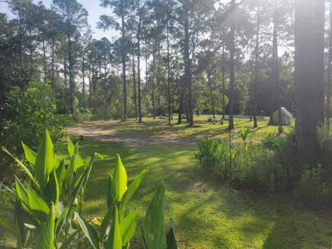 994 Woodyard Road, DeFuniak Springs FL - photo 12 of 12