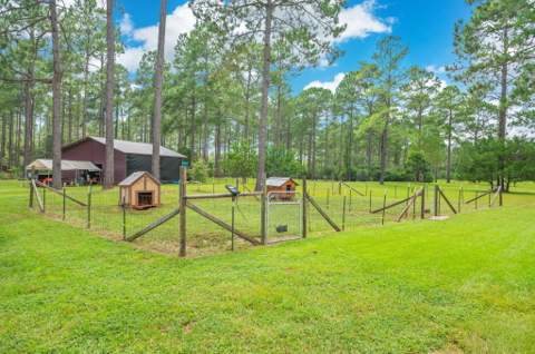 737 Hemphill Road, DeFuniak Springs FL - photo 9 of 55