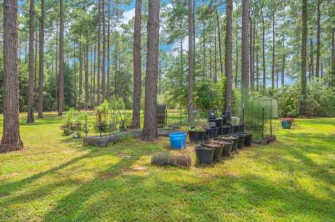 737 Hemphill Road, DeFuniak Springs FL - photo 8 of 55