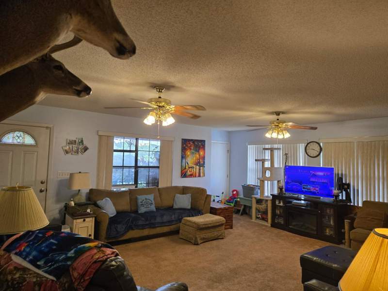 4 bedroom Detached Single Family at 105 Navajo Trace, Com SW Cor Lot 18 Blk B Of Unit 2 1st Add Kennedy, Crestview — photo 4