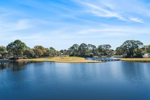 911 Harbour Point Lane #911, Miramar Beach FL - photo 22 of 40