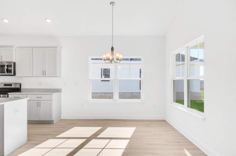3 bedroom Detached Single Family at 248 Alleyoak Lane #Lot 64-1, The Bluffs At Lafayette, Freeport — photo 2