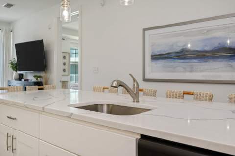 1740 S County Highway 393 #111, Santa Rosa Beach FL - photo 6 of 35