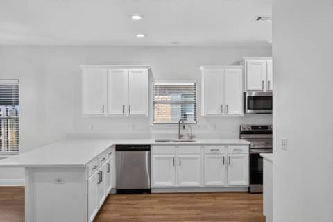 726 Cocobolo Drive, Santa Rosa Beach FL - photo 19 of 48