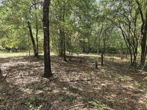 149 Nusom Drive, DeFuniak Springs FL - photo 24 of 25