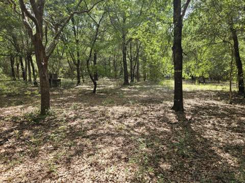 149 Nusom Drive, DeFuniak Springs FL - photo 23 of 25