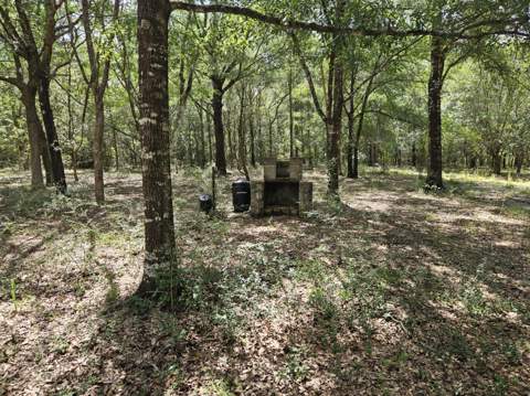149 Nusom Drive, DeFuniak Springs FL - photo 22 of 25